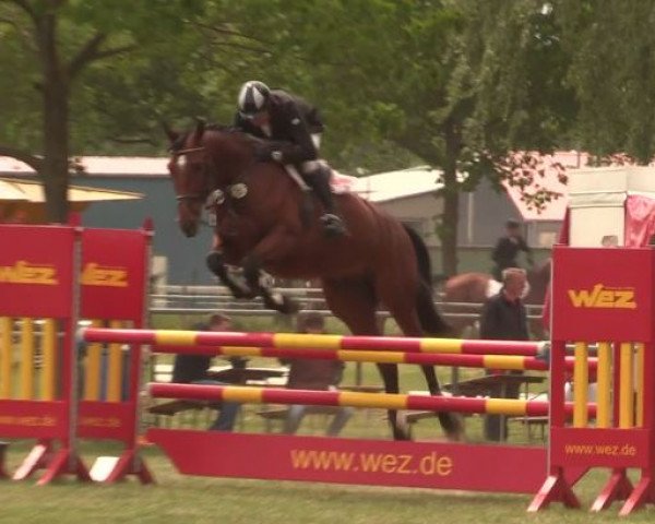 jumper Lennie 9 (Hanoverian, 2011, from Lex Lugar)
