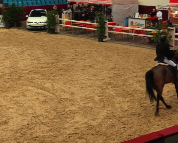 Reitturnier Neustadt/Dosse 2020