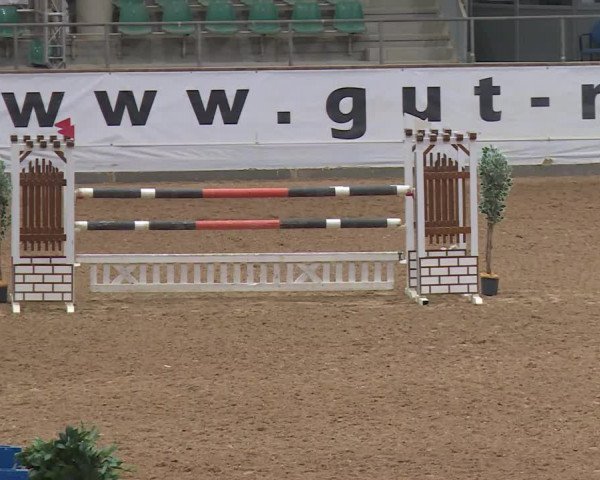 Reitturnier Kreuth/Opf. 2020