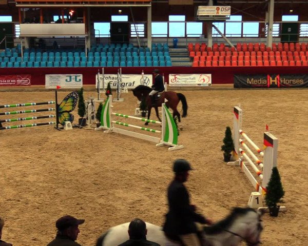 Reitturnier Neustadt/Dosse 2020