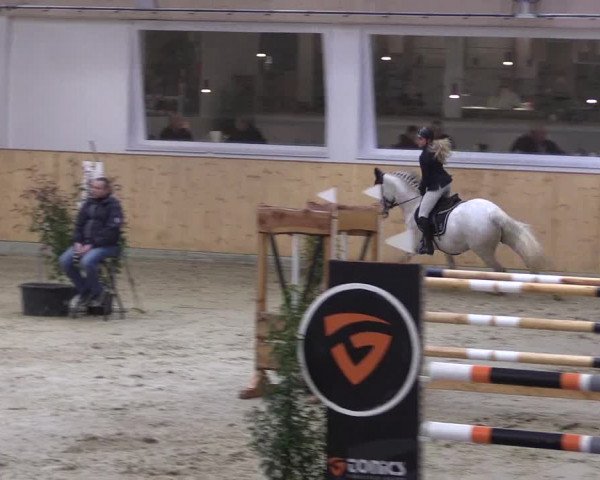 FEI Reitturnier Damme-Neuenwalde (GER) 2020