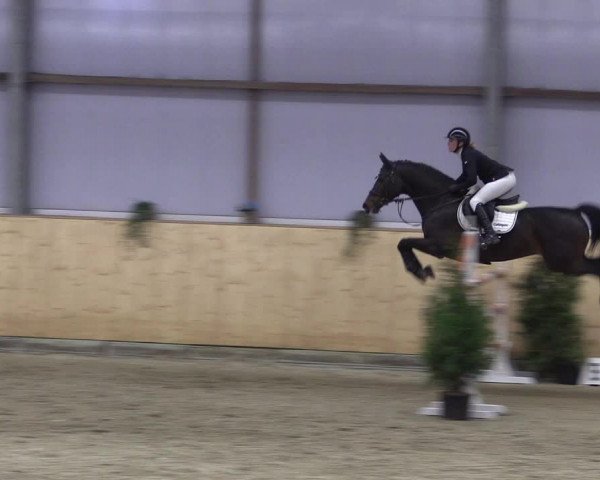 FEI Reitturnier Damme-Neuenwalde (GER) 2020