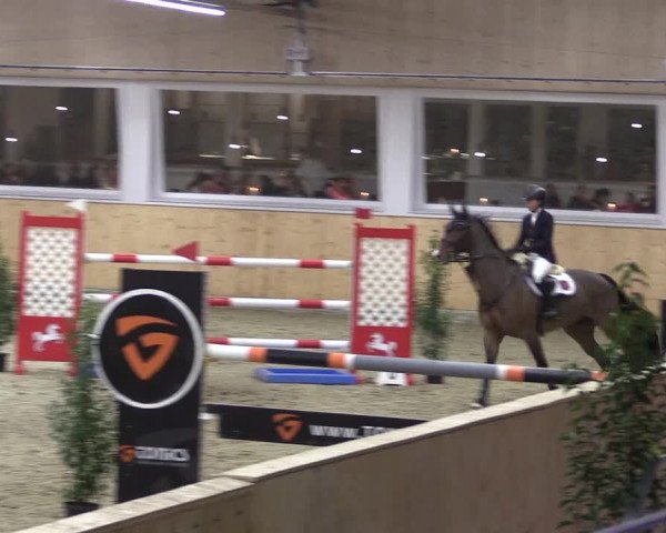 FEI Reitturnier Damme-Neuenwalde (GER) 2020