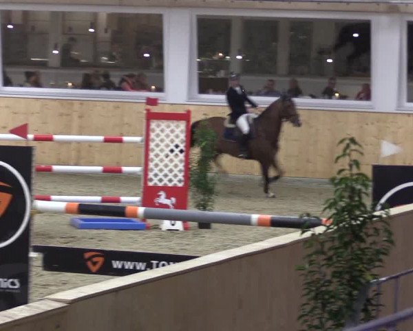 FEI Reitturnier Damme-Neuenwalde (GER) 2020