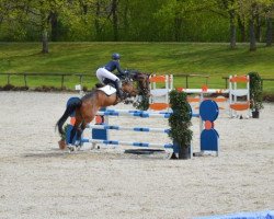 jumper Amy Mc Lou (Württemberger, 2008, from Amadehus)