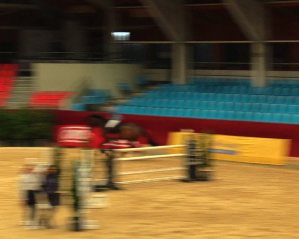 Reitturnier Neustadt/Dosse 2020