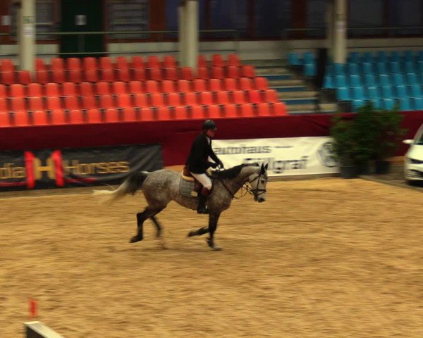 Reitturnier Neustadt/Dosse 2020
