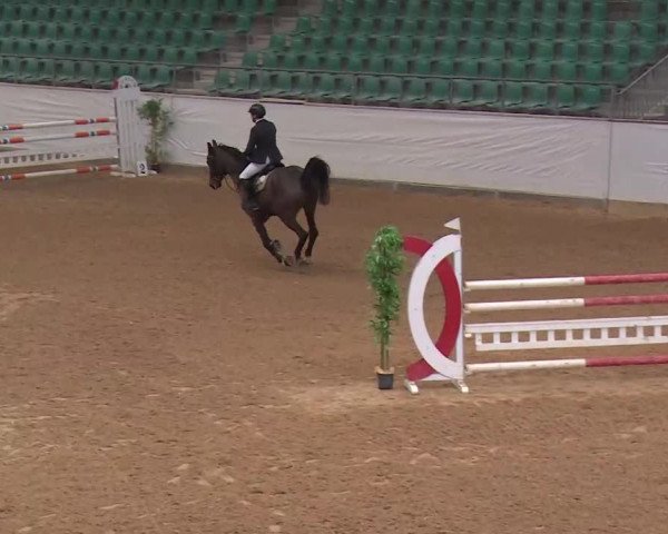 Reitturnier Kreuth/Opf. 2020