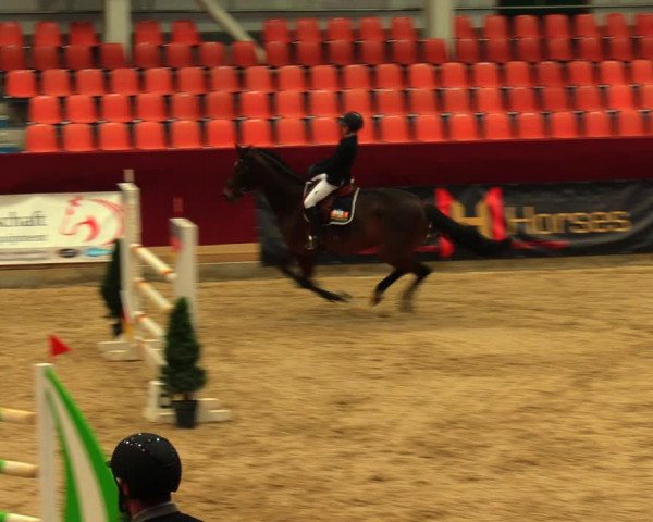 Reitturnier Neustadt/Dosse 2020