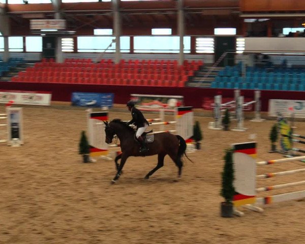 Reitturnier Neustadt/Dosse 2020