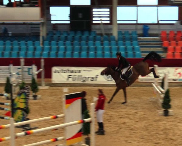 Reitturnier Neustadt/Dosse 2020