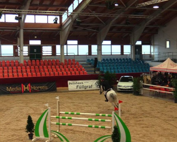 Reitturnier Neustadt/Dosse 2020