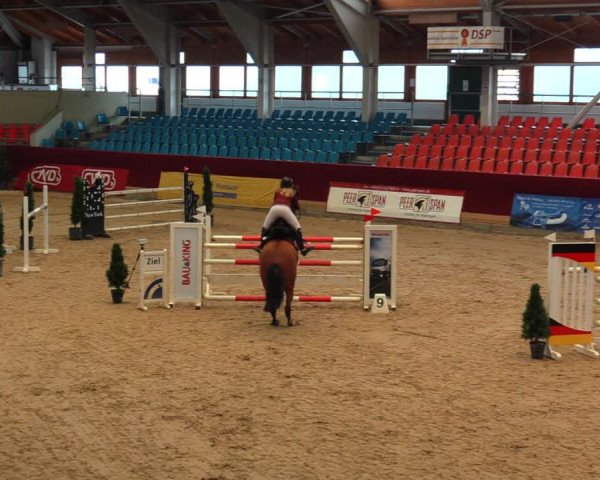 Reitturnier Neustadt/Dosse 2020