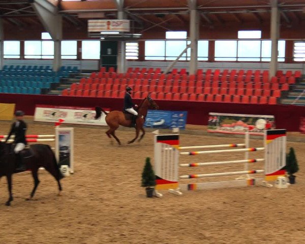 Reitturnier Neustadt/Dosse 2020