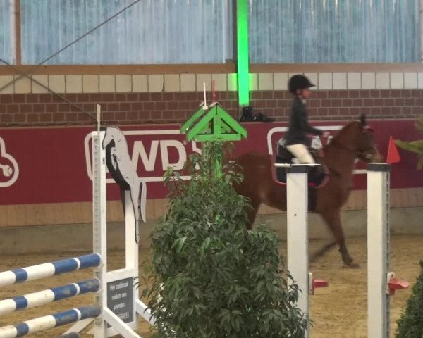Reitturnier Kaldenkirchen - Gestüt Seehof 2020