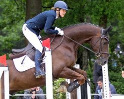 Springpferd Sansibar 120 (Hannoveraner, 2009, von Swarovski)