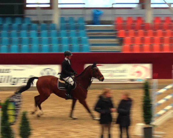 Reitturnier Neustadt/Dosse 2020