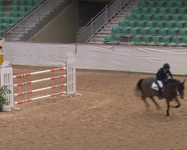 Reitturnier Kreuth/Opf. 2020