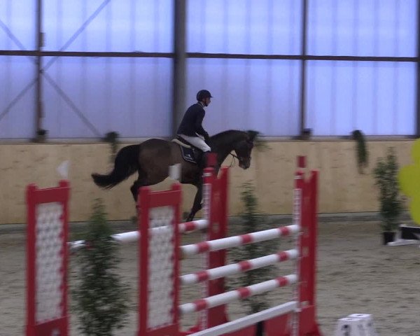FEI Reitturnier Damme-Neuenwalde (GER) 2020