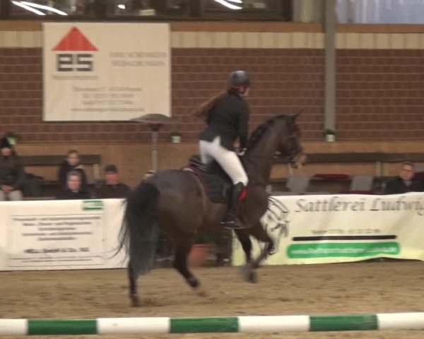 Reitturnier Kaldenkirchen - Gestüt Seehof 2020