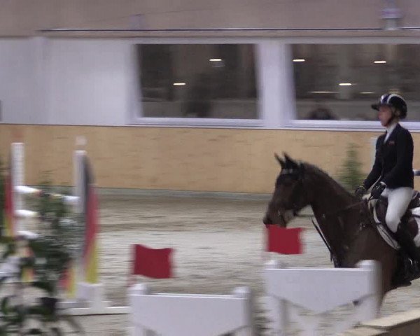 FEI Reitturnier Damme-Neuenwalde (GER) 2020