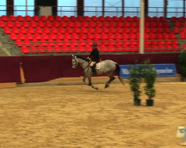 Reitturnier Neustadt/Dosse 2020
