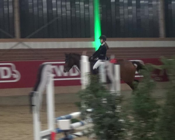 Reitturnier Kaldenkirchen - Gestüt Seehof 2020