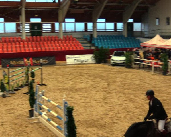 Reitturnier Neustadt/Dosse 2020