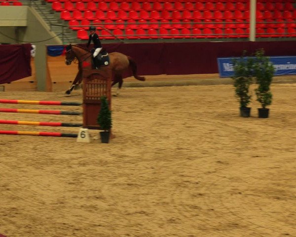 Reitturnier Neustadt/Dosse 2020