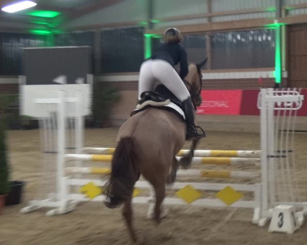 Reitturnier Kaldenkirchen - Gestüt Seehof 2020