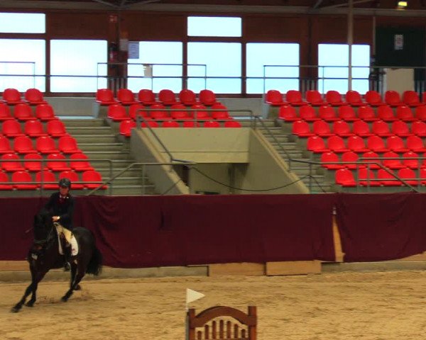 Reitturnier Neustadt/Dosse 2020