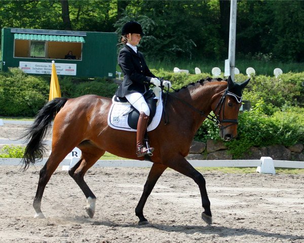 dressage horse Donata (Hanoverian, 2003, from Don Cavallo)