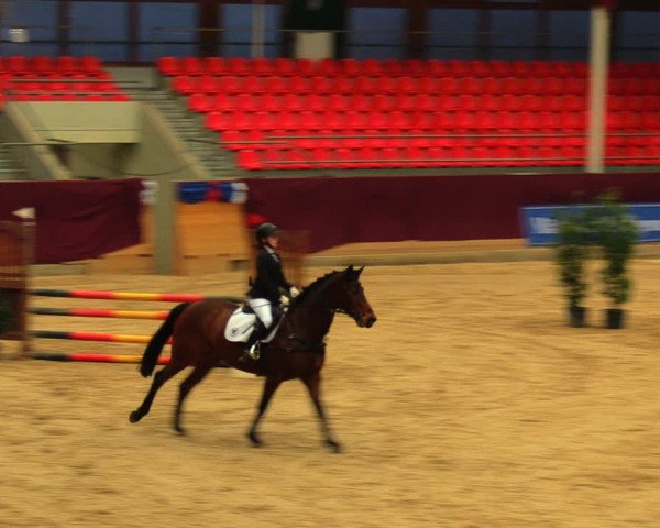 Reitturnier Neustadt/Dosse 2020