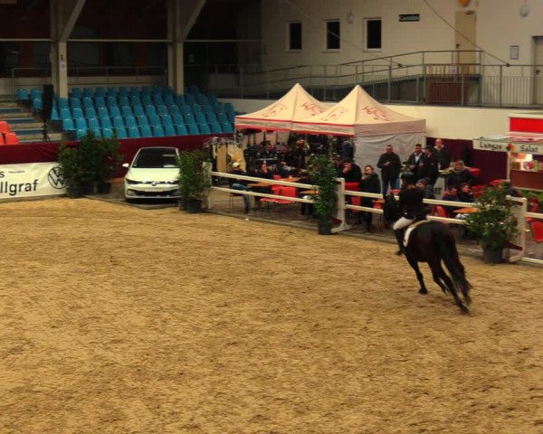 Reitturnier Neustadt/Dosse 2020