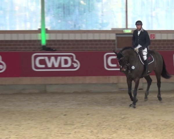 Reitturnier Kaldenkirchen - Gestüt Seehof 2020