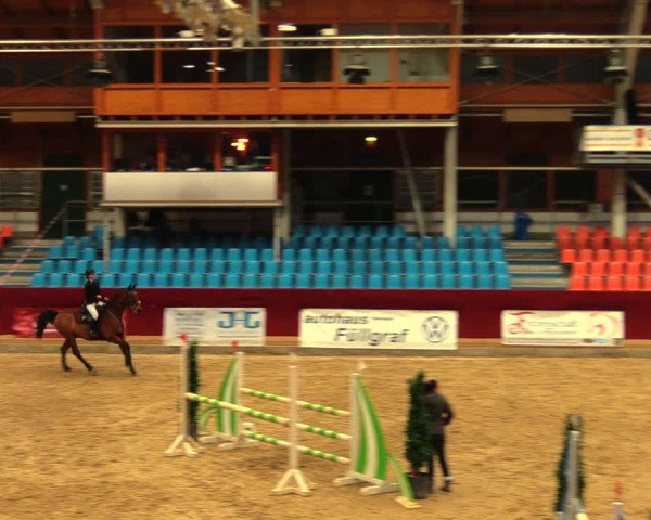 Reitturnier Neustadt/Dosse 2020