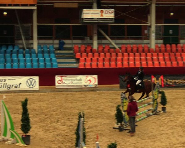 Reitturnier Neustadt/Dosse 2020