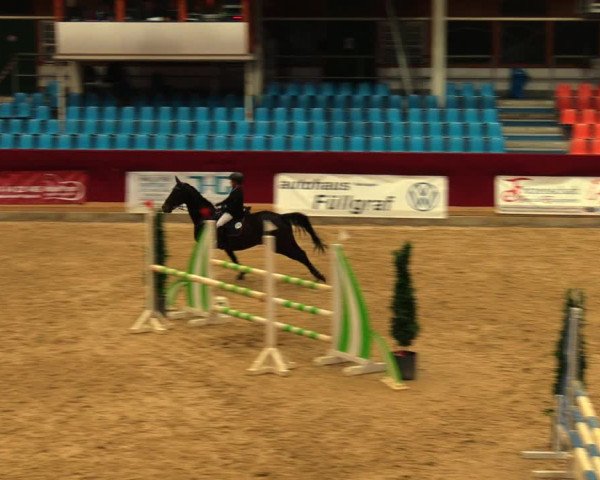 Reitturnier Neustadt/Dosse 2020