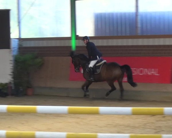 Reitturnier Kaldenkirchen - Gestüt Seehof 2020