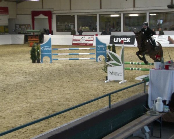 Reitturnier Borken 2020