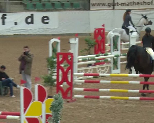 Reitturnier Kreuth/Opf. 2020