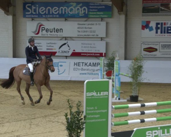 Reitturnier Borken 2020
