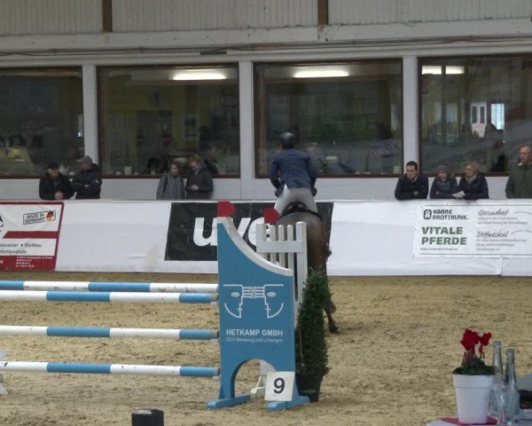 Reitturnier Borken 2020