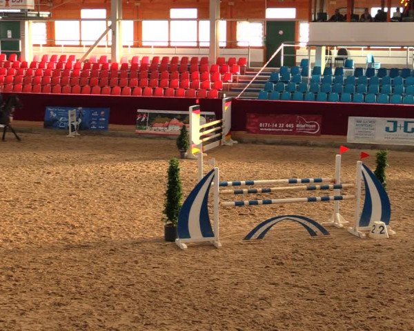 Reitturnier Neustadt/Dosse 2020