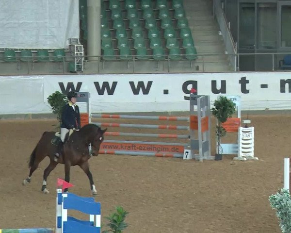 Reitturnier Kreuth/Opf. 2020