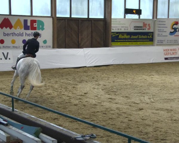 Reitturnier Borken 2020