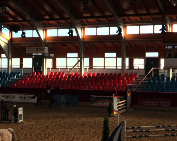 Reitturnier Neustadt/Dosse 2020