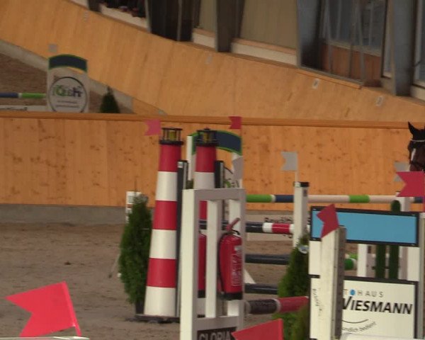 Reitturnier Münster-Amelsbüren 2020