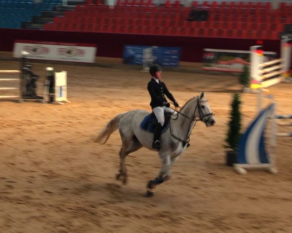 Reitturnier Neustadt/Dosse 2020