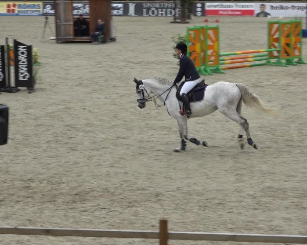Reitturnier Westergellersen 2021